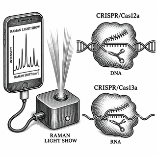 Illustration for A Smartphone, CRISPR, and a Tiny Raman Light Show Walk Into a Bacteria Test