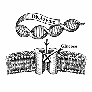 Pancreatic Cancer Wanted More Fuel. This Nanotech System Cut the Gas Line.