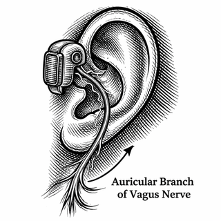 What If the Secret to Managing Cancer Pain Was Hiding in Your Ear?