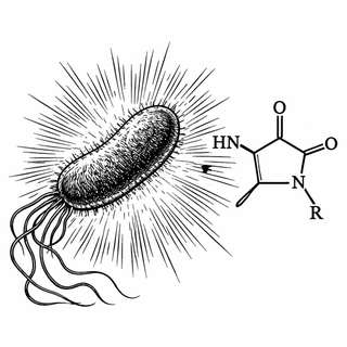 Teaching Bacteria to Sniff Out Antibiotics: A Biosensor Breakthrough for β-Lactam Screening