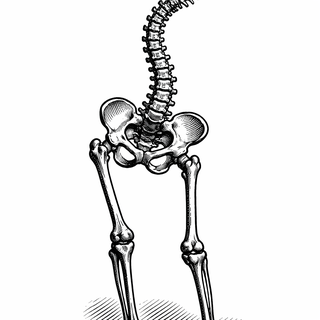 One Leg Shorter Than the Other: The Biomechanics of Being Slightly Lopsided