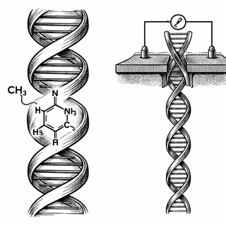 Illustration for Reading Your DNA's Secret Sticky Notes: How Single-Molecule Biophysics and AI Are Cracking the Methylation Code