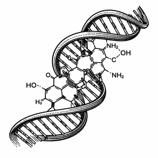 When Your Antibiotic Monitor Is Hiding in Plain Sight: A Kanamycin Aptamer Story