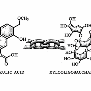 When Plant Chemistry Gets Ambitious: A Greener Way to Build Anti-Inflammatory Molecules