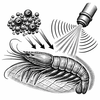 Chitosan Meets Nano-Metal Oxides: A Wound Dressing That Actually Fights Back