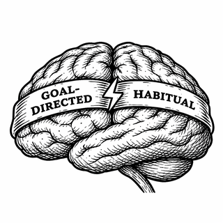 Your Brain on Autopilot: How UCLA Is Using Electric Zaps to Reset OCD's Broken Habit Machine